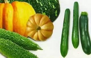 吃的便宜瓜,尽享夏日清凉瓜果盛宴