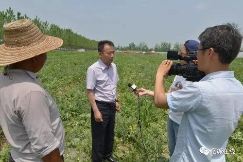 吃瓜洋迪,揭秘网红美食背后的故事