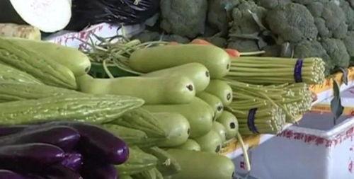 无法正常吃瓜的人,揭秘那些与世隔绝的岁月