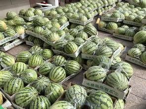 大慧吃瓜,揭秘娱乐圈幕后故事