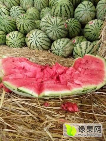 邯郸永年金店吃瓜,夏日吃瓜，品味古韵风情