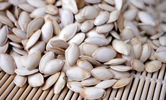 生瓜南瓜子可以吃,从生瓜到美味佳肴的蜕变之旅