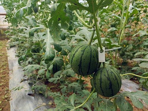 小亿吃瓜,揭秘娱乐圈那些不为人知的幕后故事