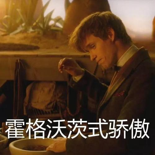 亏吃麻瓜,揭秘魔法世界的神秘与陷阱