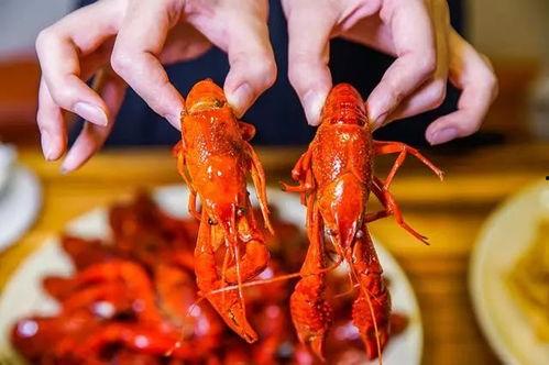 吃虾卤瓜,传统美食的完美融合