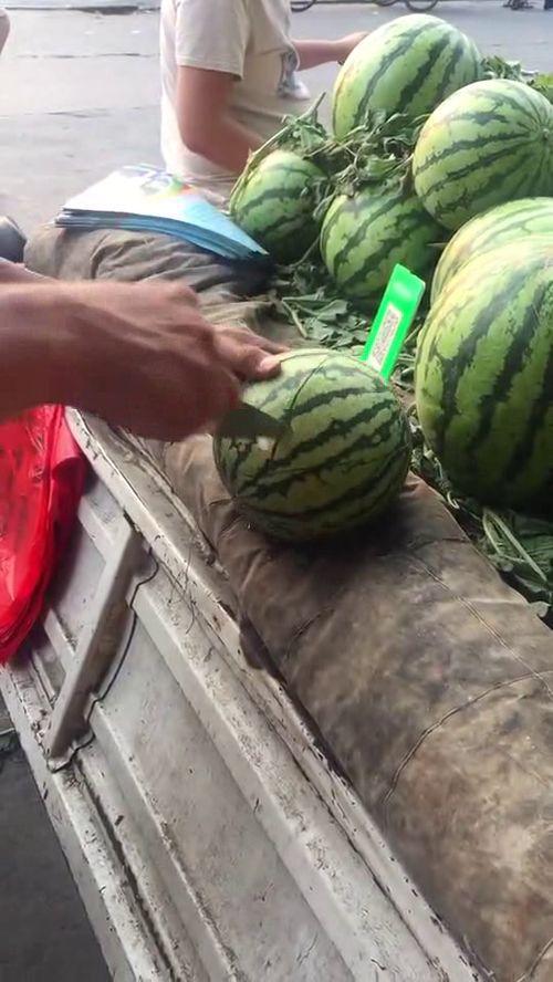 最近怎么流行吃瓜,揭秘近期热门吃瓜现象背后的故事