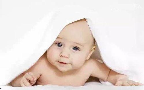 吃瓜照片婴儿推荐测评,萌宝美食大揭秘